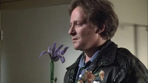 Canción triste de Hill Street Temporada 2 Episodios 16 • Sub Español