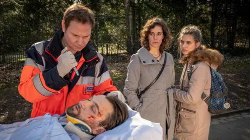 Hamburgo 112 Temporada 14 Episodios 18 • Sub Español