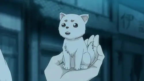 Gintama Temporada 11 Episodios 6 • Sub Español