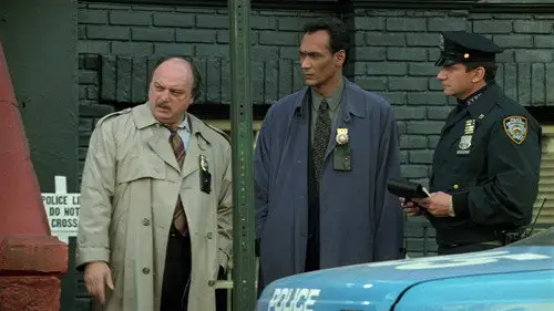 NYPD Blue Temporada 5 Cap 10 • Español Online