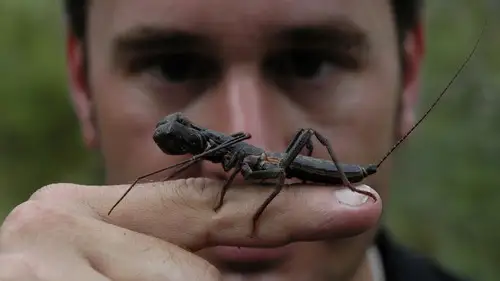 Nature S24E8 • Oglądaj Online