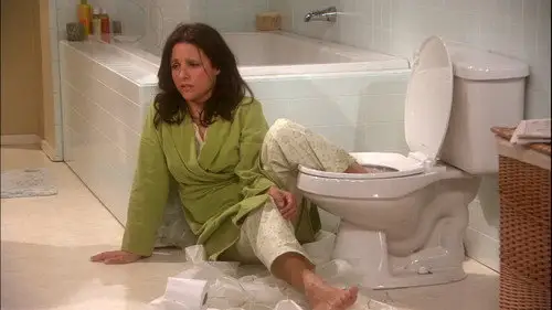 The New Adventures of Old Christine Temporada 4 Episodios 15 • Sub Español