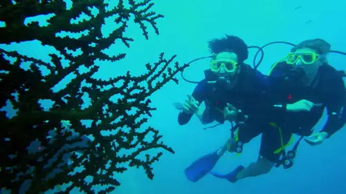 Below Deck Down Under Temporada 1 Episodios 8 • Sub Español