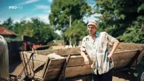 Las Fierbinţi Temporada 19 Episodios 25 • Sub Español