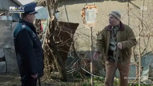 Las Fierbinţi Temporada 21 Episodios 25 • Sub Español