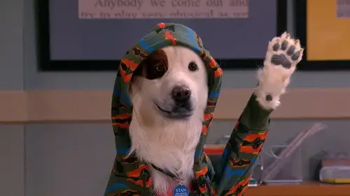 Mi perro tiene un blog Temporada 2 Episodios 22 • Sub Español