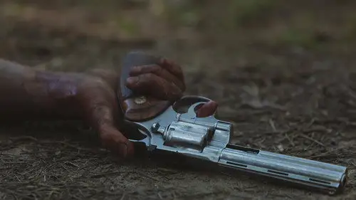 The Walking Dead Temporada 9 Episodios 5 • Sub Español