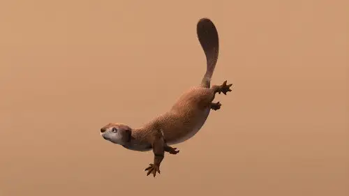 Dinotren Temporada 3 Episodios 19 • Sub Español