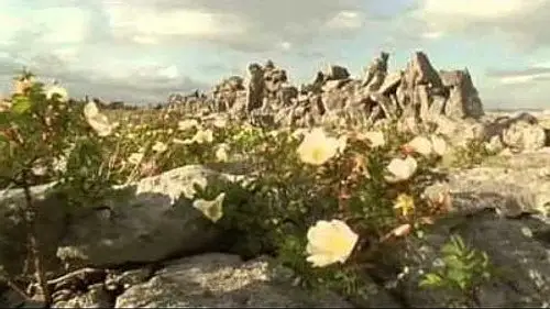 Mundo Natural Temporada 22 Episodios 16 • Sub Español