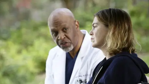 Anatomía de Grey Temporada 12 Episodios 9 • Sub Español