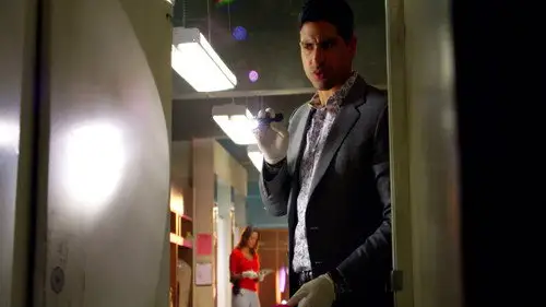 CSI: Miami Temporada 9 Episodios 12 • Sub Español