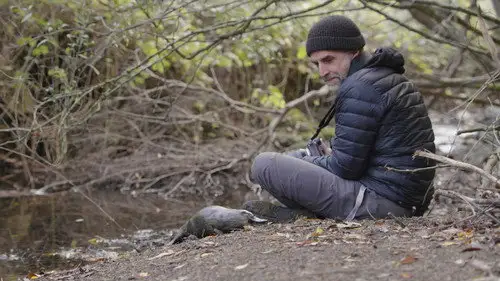 Nature S42E1 • Oglądaj Online