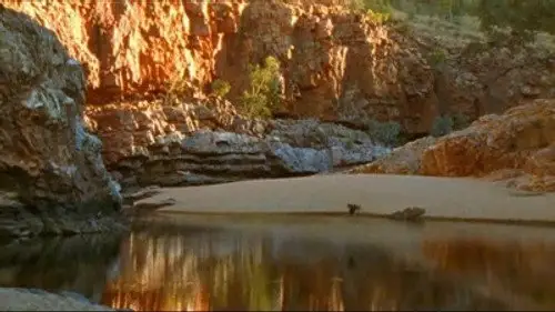 Mundo Natural Temporada 24 Episodios 10 • Sub Español