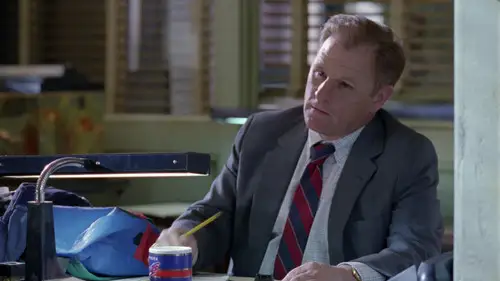NYPD Blue Temporada 3 Cap 16 • Español Online