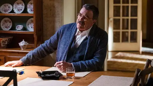 Familia de policías Temporada 12 Episodios 16 • Sub Español