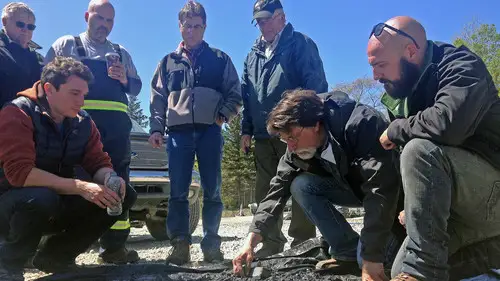 La maldición de Oak Island Temporada 5 Episodios 1 • Sub Español