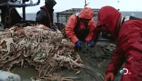 Pesca radical Temporada 8 Episodios 14 • Sub Español