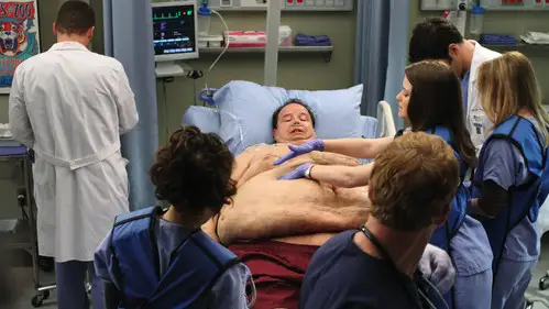 Anatomía de Grey Temporada 6 Cap 21 • Español Online