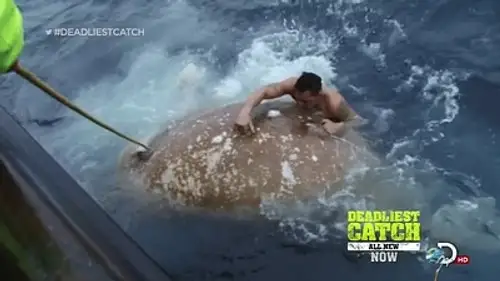 Pesca radical Temporada 9 Episodios 15 • Sub Español