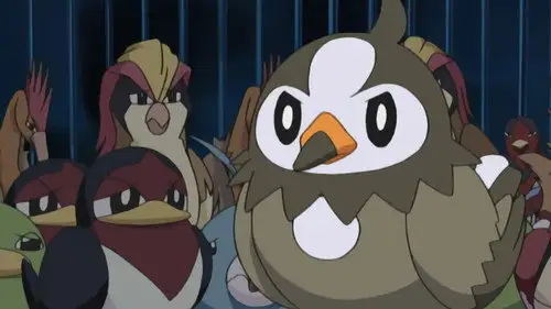 Pokémon Temporada 10 Episodios 13 • Sub Español