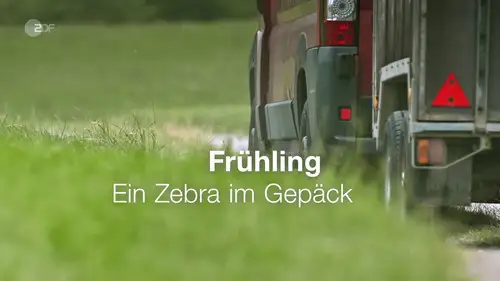 Frühling Temporada 13 Episodios 1 • Sub Español