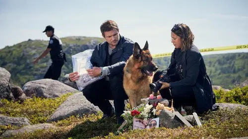 Hudson & Rex Temporada 3 Episodios 6 • Sub Español