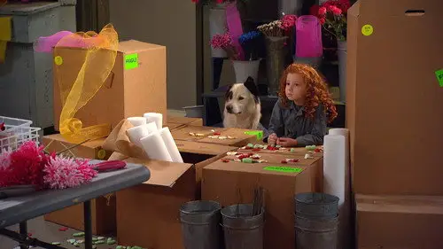 Mi perro tiene un blog Temporada 2 Episodios 20 • Sub Español