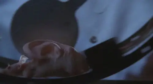 Nip/Tuck, a golpe de bisturí Temporada 4 Episodios 7 • Sub Español
