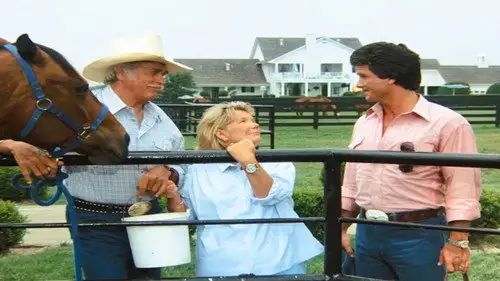 Dallas Temporada 11 Episodios 9 • Sub Español