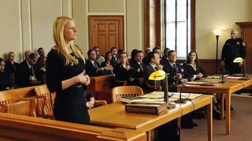 The Good Wife Temporada 1 Episodios 13 • Sub Español