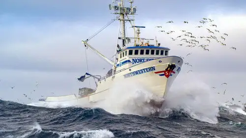 Pesca radical Temporada 20 Episodios 1 • Sub Español