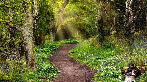 Springwatch Temporada 19 Episodios 2 • Sub Español