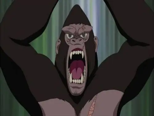 Naruto Shippuden Temporada 12 Episodios 243 • Sub Español