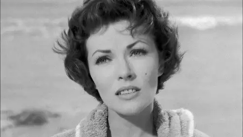 Perry Mason Temporada 3 Episodios 3 • Sub Español