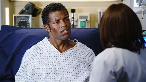 Anatomía de Grey Temporada 11 Episodios 12 • Sub Español