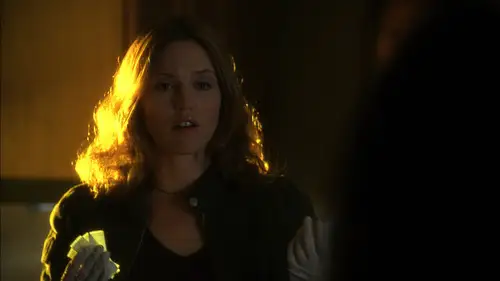 CSI: Las Vegas Temporada 3 Episodios 21 • Sub Español