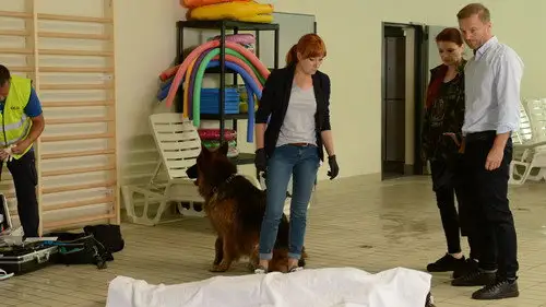 Komisarz Alex Temporada 10 Episodios 11 • Sub Español
