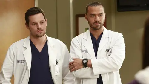 Anatomía de Grey Temporada 9 Cap 14 • Español Online