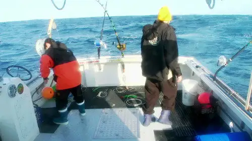Wicked Tuna: Outer Banks Temporada 2 Episodios 9 • Sub Español