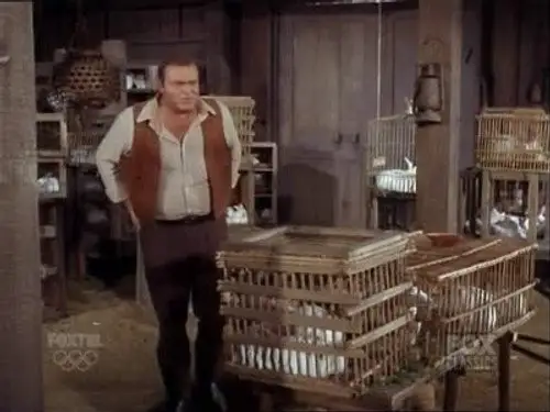 Bonanza Temporada 8 Episodios 16 • Sub Español