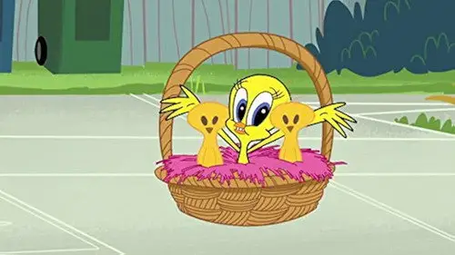 The New Looney Tunes Temporada 2 Episodios 25 • Sub Español