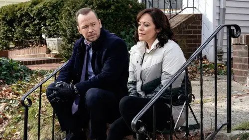 Familia de policías Temporada 11 Episodios 9 • Sub Español