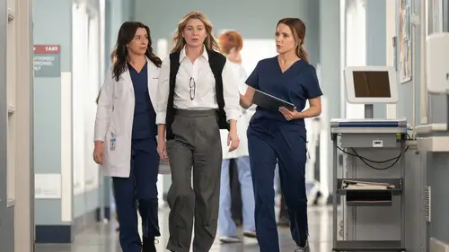 Anatomía de Grey Temporada 22 Episodios 18 • Sub Español