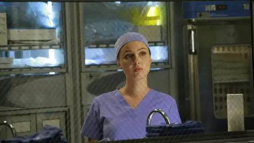 Anatomía de Grey Temporada 12 Episodios 10 • Sub Español