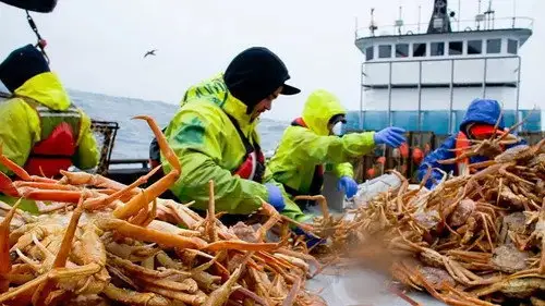 Pesca radical Temporada 16 Episodios 21 • Sub Español