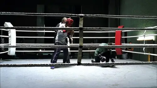 Crimen en los Alpes Temporada 12 Episodios 13 • Sub Español