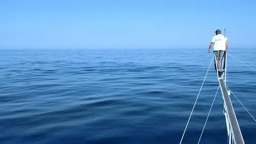 Pesca Pesada Temporada 5 Episodios 6 • Sub Español