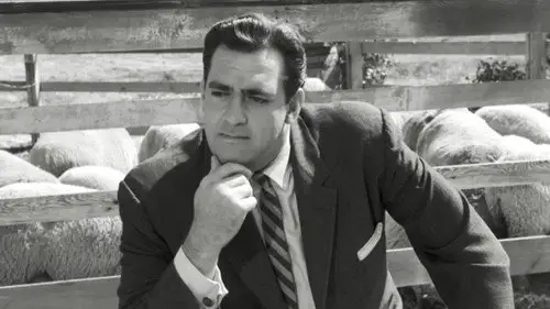 Perry Mason Temporada 1 Episodios 11 • Sub Español