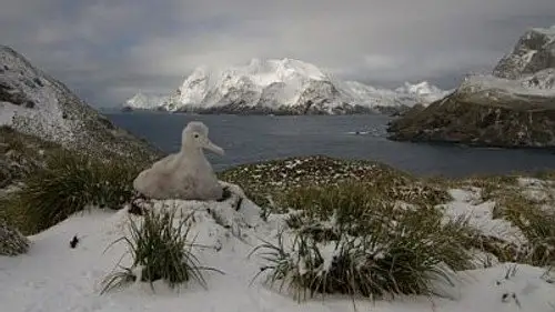 Mundo Natural Temporada 17 Episodios 1 • Sub Español