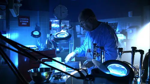 CSI: Las Vegas Temporada 6 Episodios 14 • Sub Español